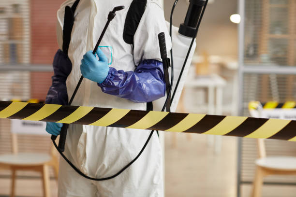 Professional Sewage Cleanup technician working in Cutchogue, NY